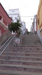 2022-03-GranCan-Las_Palmas-Santa_Ana--Doramas-PM-NN-069.JPG